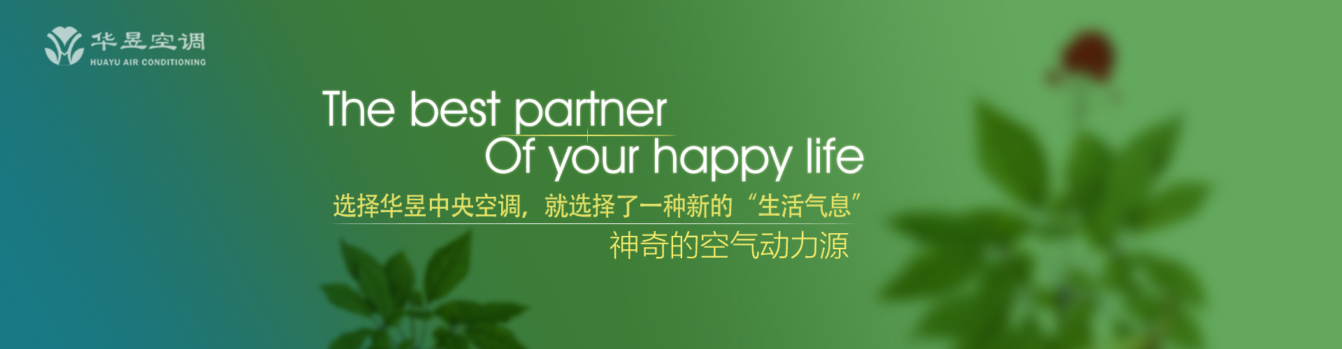 千姿百态网
